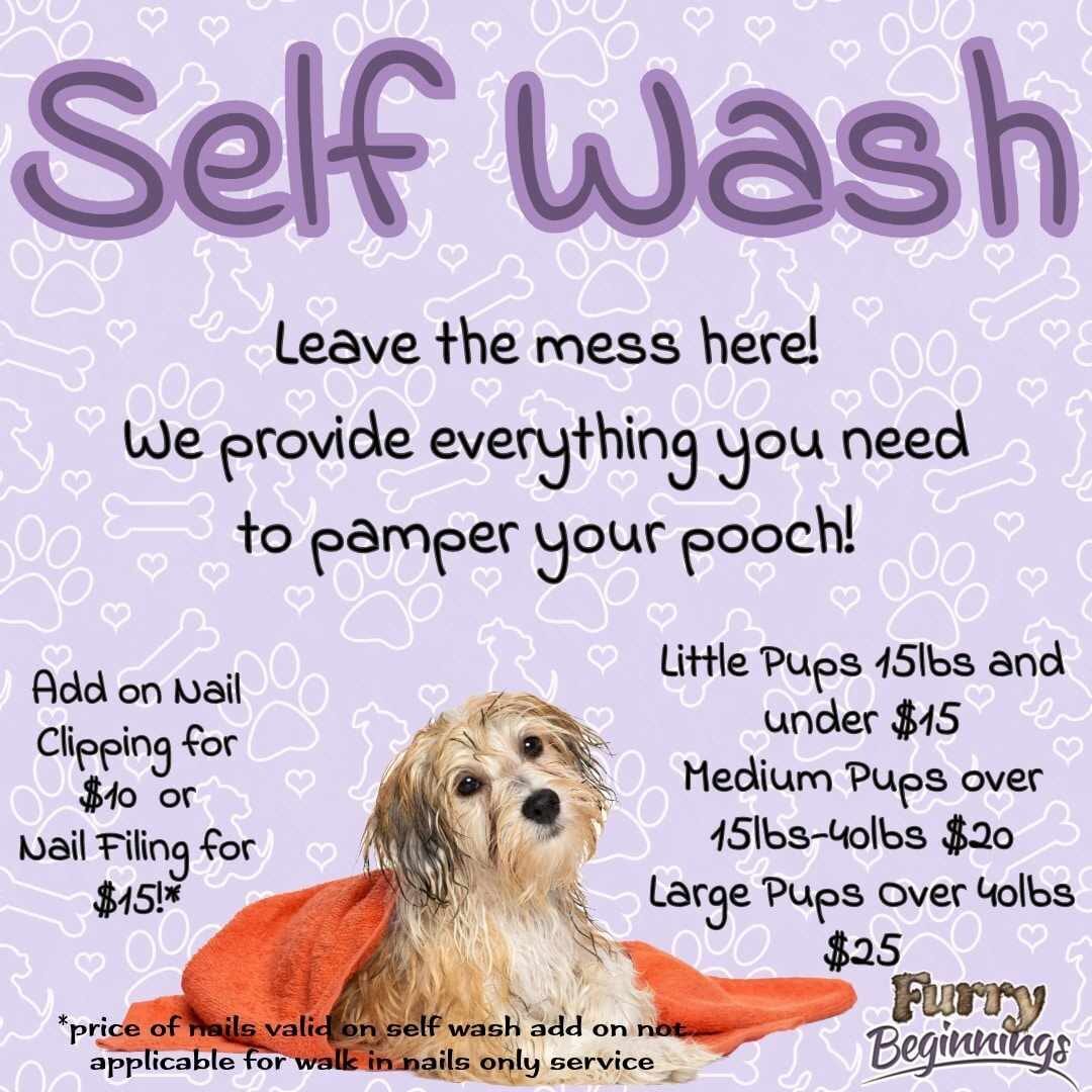 Pet Grooming, Self Wash